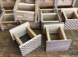 Design and Movement